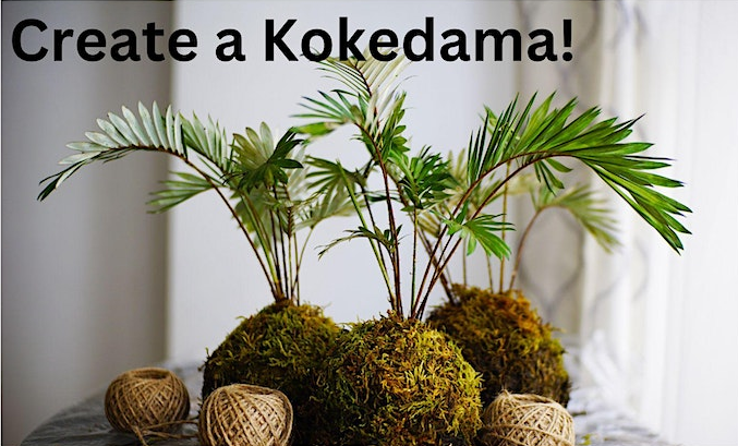 Kokedama