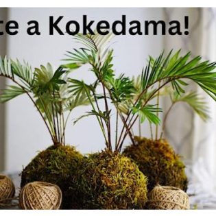 Create a Kokedama - Fun with Flowers Workshop