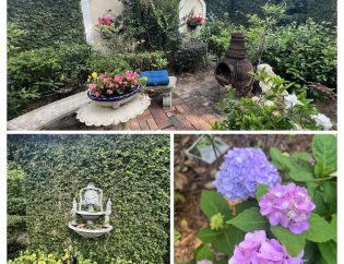 Clermont Garden Club | Garden Walks